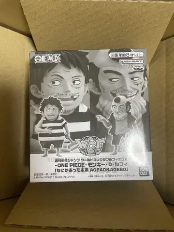 월드 컬렉터블 피규어 몽키 D. 루피 무언가 있었던 미래