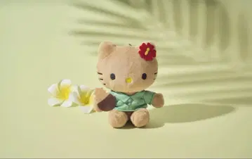 호놀룰루 쿠키 키티