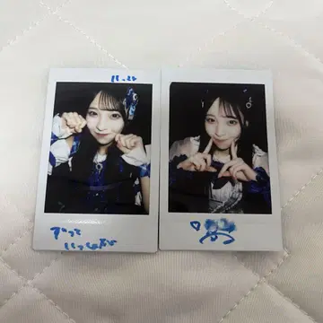 카나세 마이 폴라로이드