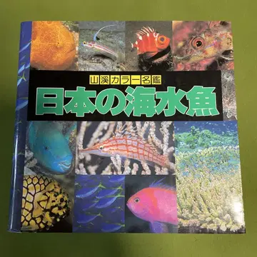 일본 해수어