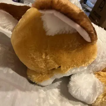 네이비 여우 봉제 인형 30cm 정도