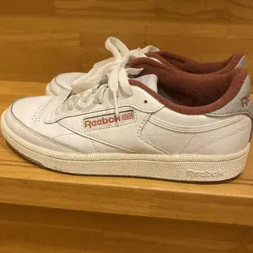 리복 클럽 C 24cm