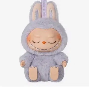 라부보라색