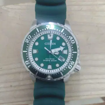 CITIZEN Eco-Drive 다이버 워치 200m 새상품급