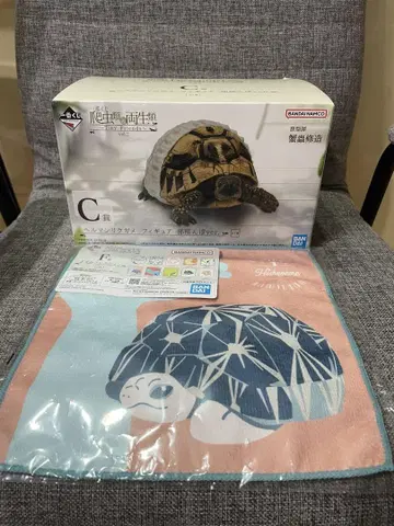 제일복권 파충류&양서류 C상 헤르만 육지거북 F상 타월 컬렉션