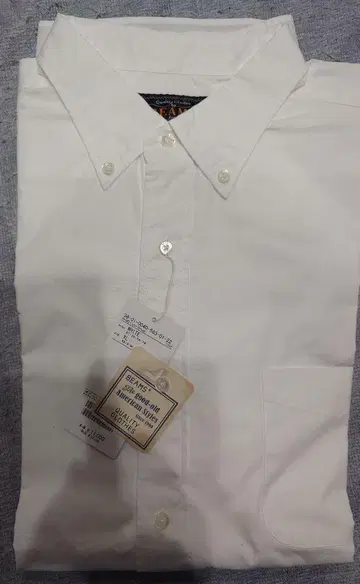 BEAMS PLUS B.D. 쇼트 슬리브 컬러 브로드