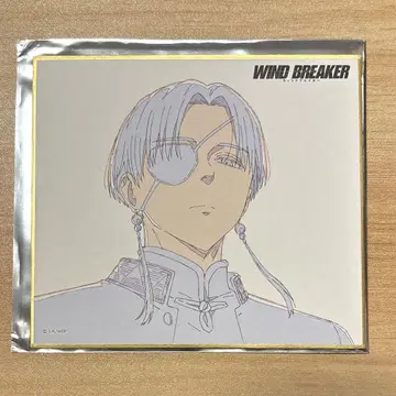 WINDBREAKER 소호 하야토 색지 TSUTAYA 원화