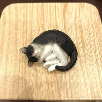 네이처 테크니컬러 네코마그넷 하치와레 고양이