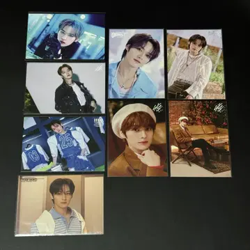 straykids 스키즈 렌트레 리노