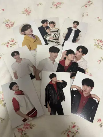 cutie pie 랜덤 트레이딩 카드