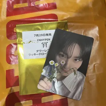 ENHYPEN 석양 타워 레코드 럭키 드로우 포토 카드 정원