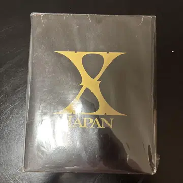 X JAPAN