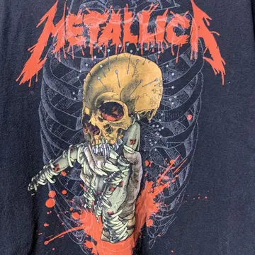 레어 00년대 METALLICA 패스헤드 티셔츠 Hanes 택 M