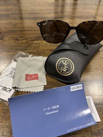 Ray-Ban 레오나르도