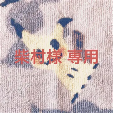 리멘트 포켓몬 테라리움 컬렉션 15 피카츄&뮤 3