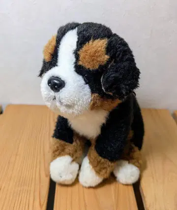 REGALO 레가로 바니스 마운틴 도그 개 봉제 인형