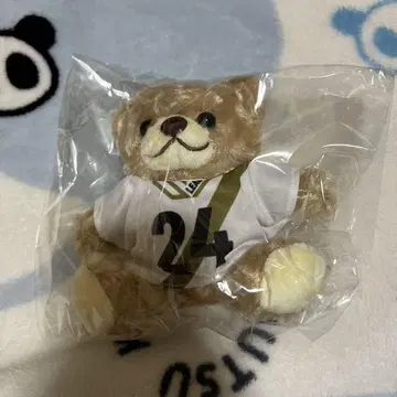오가와 토모히로 선수 유니 베어
