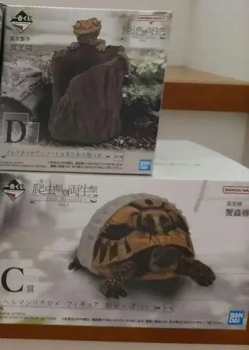 파충류&양서류 제일복권 C상 헤르만 육지거북 D상 크레스티드 게코