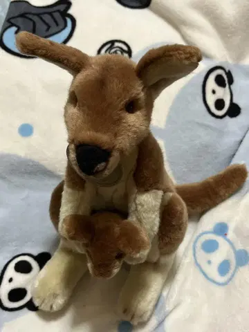 캥거루 모자() 봉제 인형