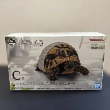 제일복권 파충류&양서류 C상 헤르만 육지거북 피규어 방 안 산책 ver.