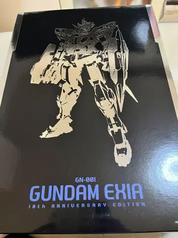 METAL BUILD 메탈 빌드 건담 엑시아 10th
