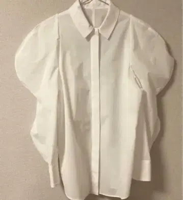 시뉴 블라우스