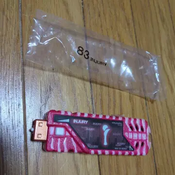 인저리 메모리