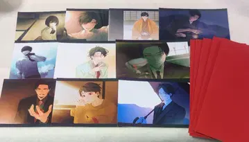 대오염 그라테 봉투 들어 있는 트레이딩 브로마이드 10장