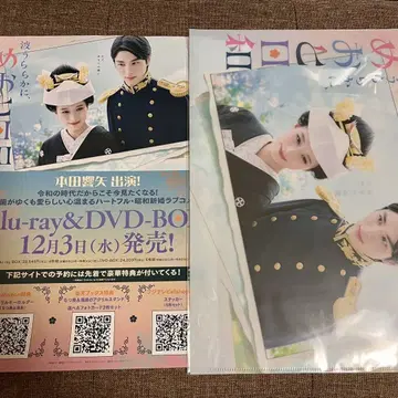 파도가 잔잔한, 메오토 비야 도서 혼다 히요야 클리어 파일 리플렛