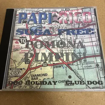 DOG HOLIDAY CLUE DOG