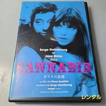 CANNABIS 유리 묘비 렌탈