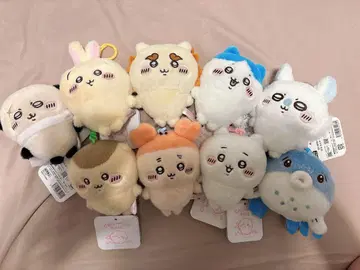치이카와 파크 푸와코로 마스코트 컴프
