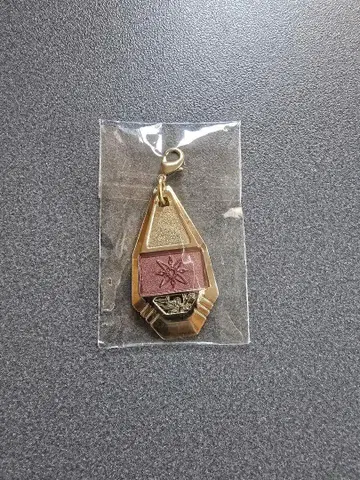 디지몬 어드벤처 야가미 히카리 문장 메탈 참