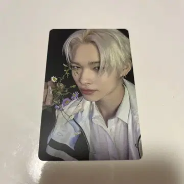 ENHYPEN 요이 타워레코드 라키도로 니키