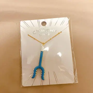 치이카와 파크 목걸이 사스마타 하치와레