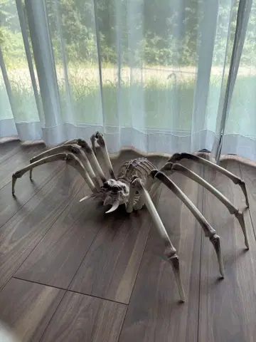 새상품급 거미 103cm 거대 피규어