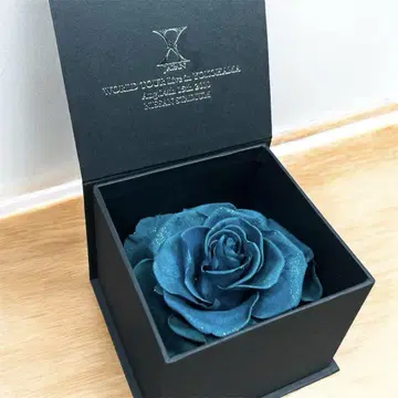 X JAPAN 엑스 재팬 블리자드 로즈 기념 굿즈