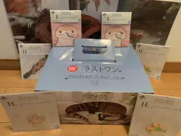 제일복권 파충류 및 양서류