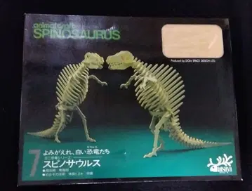 스피노사우루스 골격 모형 animal craft