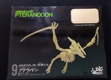 프테라노돈 골격 모형 animal craft