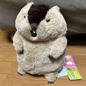 마모트의 모토토 봉제 인형 하마모토