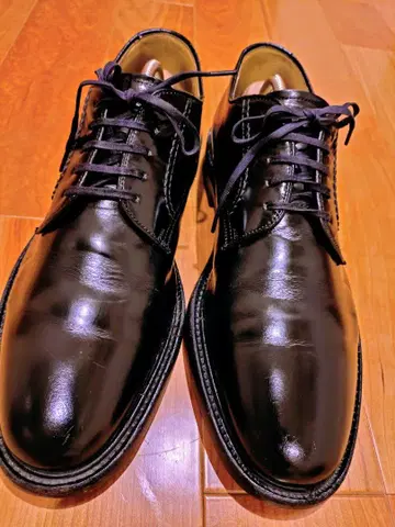 REGAL 비즈니스 슈즈 2504 플레인토 26cm