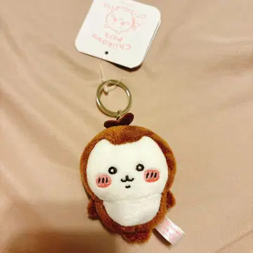 치이카와 파크 카부토무시 마스코트