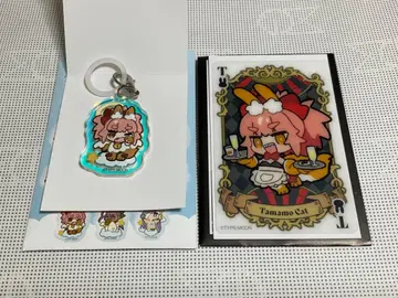 와다 아루코 전 타마모 캣 클리어 카드 오로라 메지루시 아크릴 참