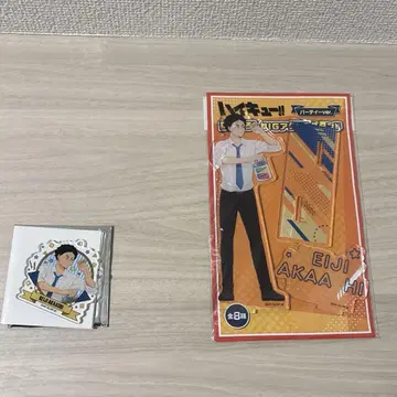 새로 그린 BIG 아크릴 스탠드 아카아시 케이지 새로 그린 아크릴 키링