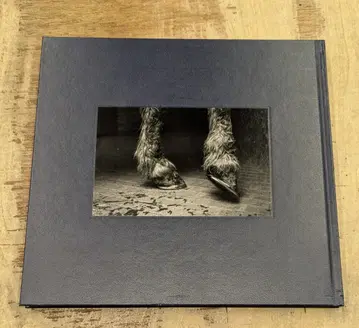 Alessandra Sanguinetti Some Say Ice