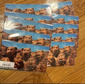 MAN WITH A MISSION 맨 위즈 EP 마그넷 10개 세트