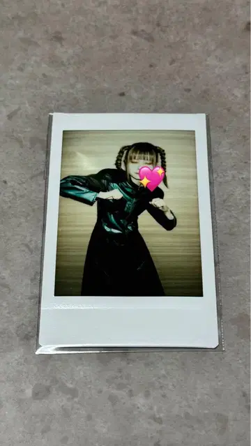 모그 라이언 폴라로이드 ASP