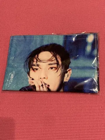 straykids 흠집 라이브 사진 타월 현진