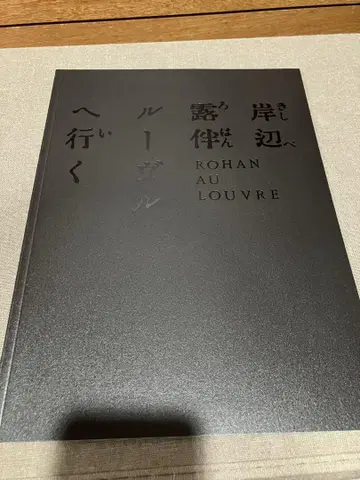 키시베 로한, 루브르로 가다